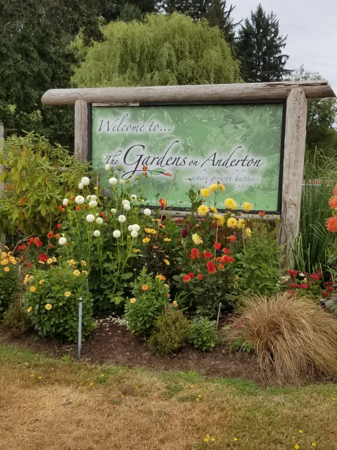 The Gardens on Anderton